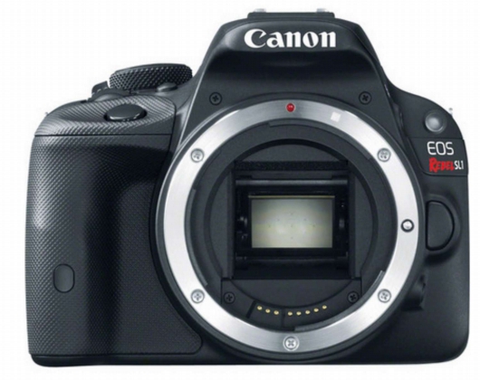 Canon SL!