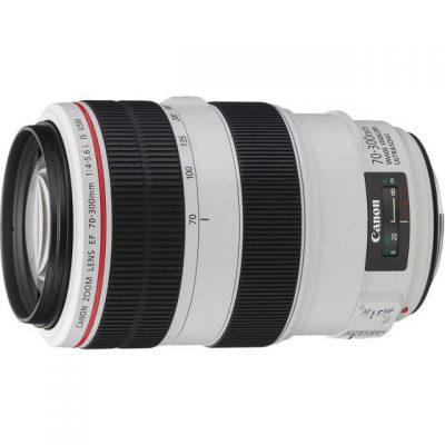 Canon EF 70-300mm F4-5.6L IS USM