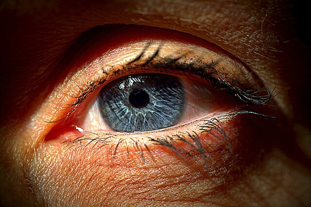human eye