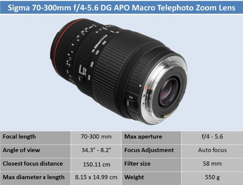 Sigma APO 70-300mm f4-5.6 DG Macro for Canon