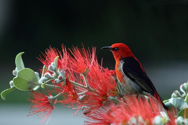 sharp photo