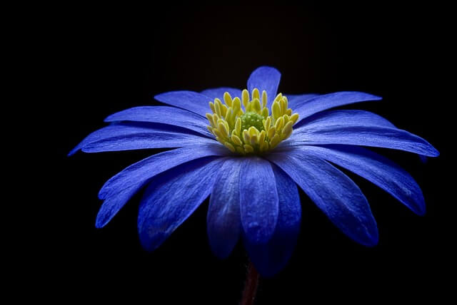 focus stacking