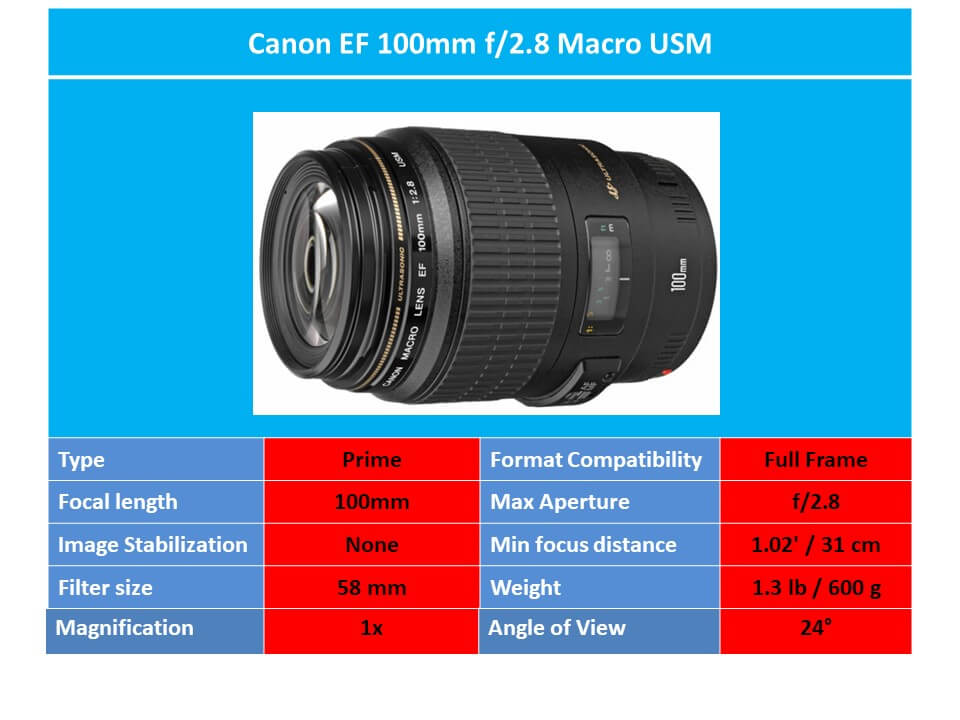 Canon EF 100 mm f/2.8 Macro USM