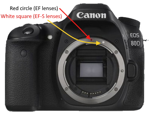 Canon mount
