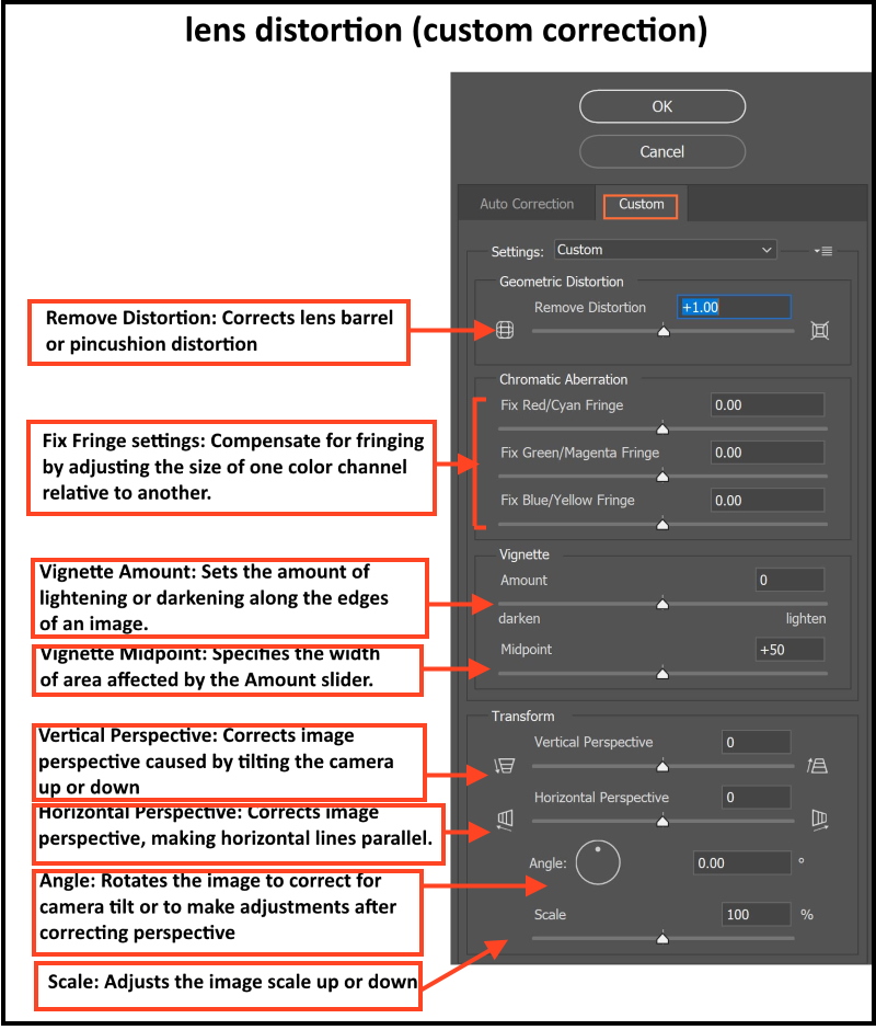 Fixing Distortion - Photoshop