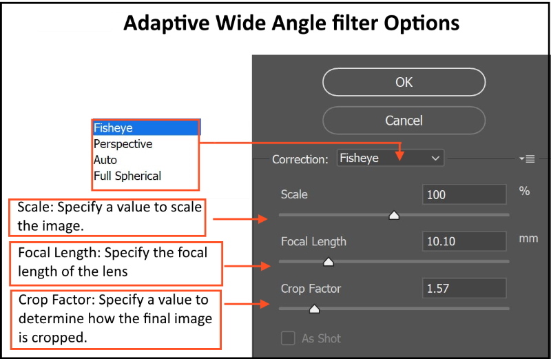 A sample photo is shown below after fixing lens correction