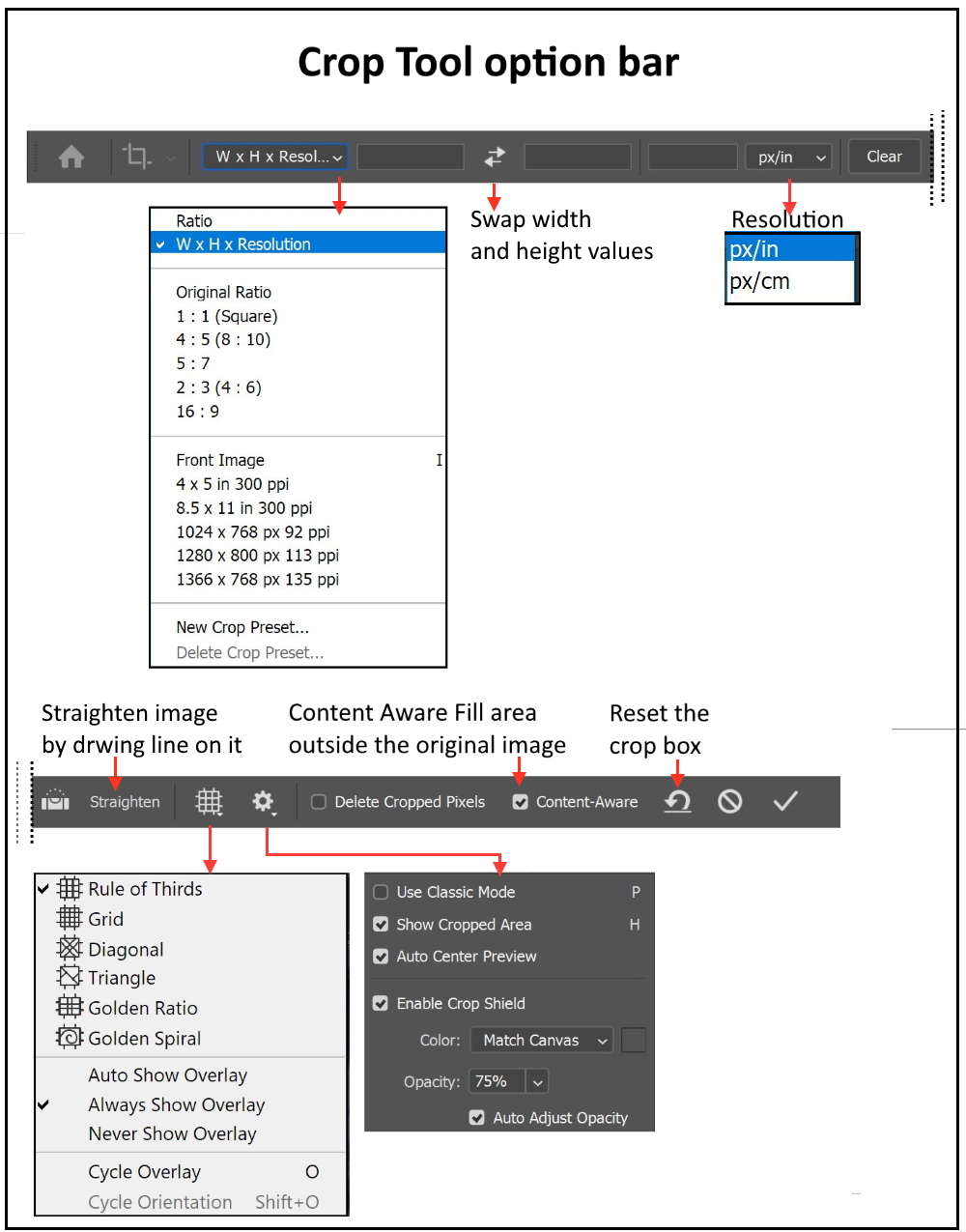 How to Stretch Image - Photoshop