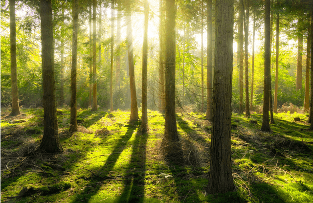 Create Light Effect in Photoshop