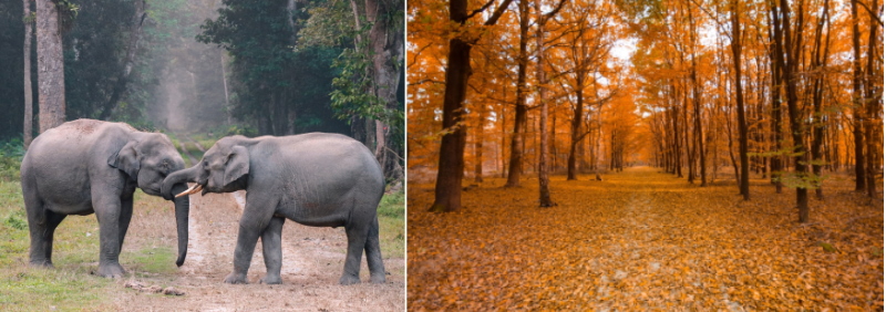 Create Real Shadow in Photoshop