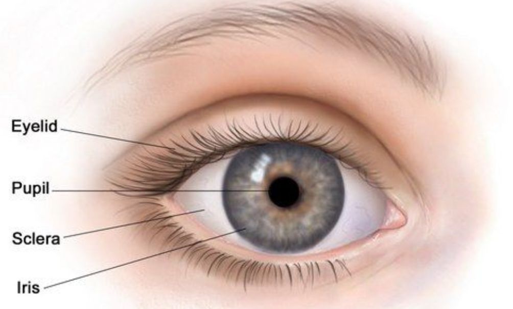 Make Eyes Pop in Photoshop