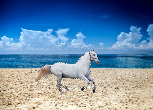 Create Real Shadow in Photoshop
