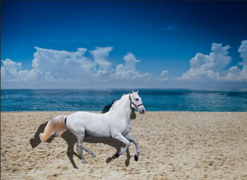 Create Real Shadow in Photoshop