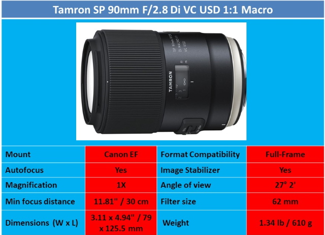Best Macro Lens for Flower Photography