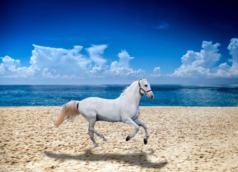 Create Real Shadow in Photoshop