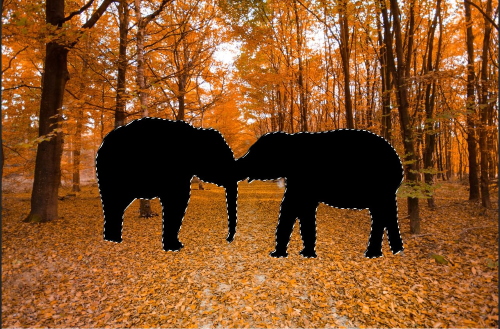 Create Real Shadow in Photoshop