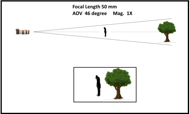 Lens compression in photography