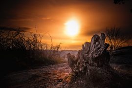 Photographer’s Guide to Landscape and Night Photography