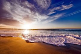 AI and Photo Editing - Top five AI Photo Editors