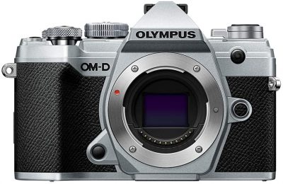 best affordable mirrorless cameras