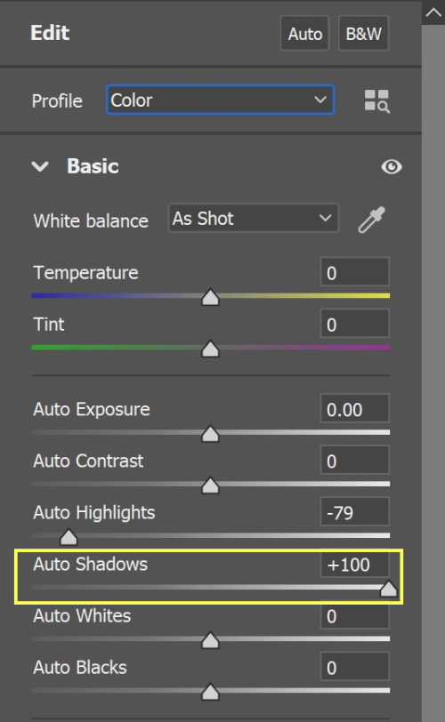 Lighten Shadows in Photoshop