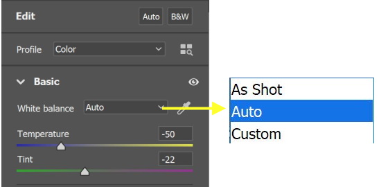 Correcting White Balance