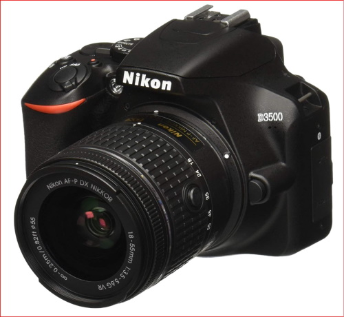 Nikon D3500 W/ AF-P DX NIKKOR 18-55mm f/3.5-5.6G VR