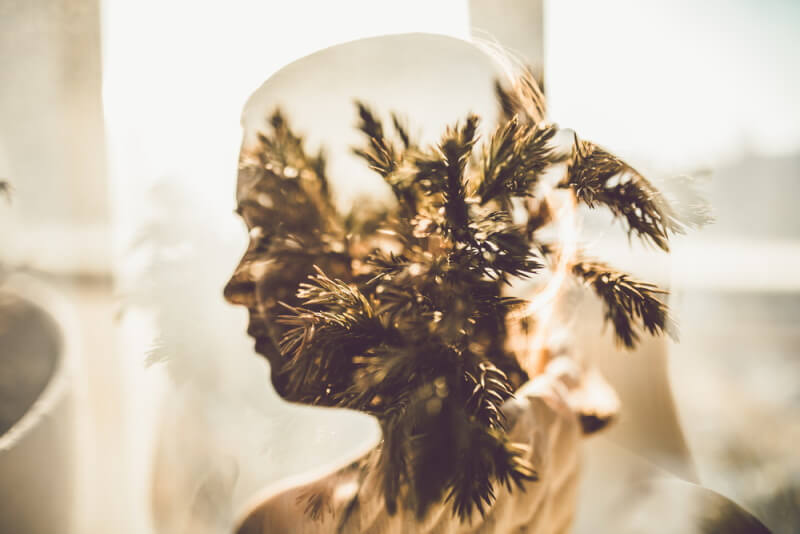 A composite photo of a woman and tree branches 