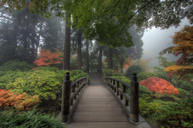 The Bridge in Portland Japanese Garden in the Fall