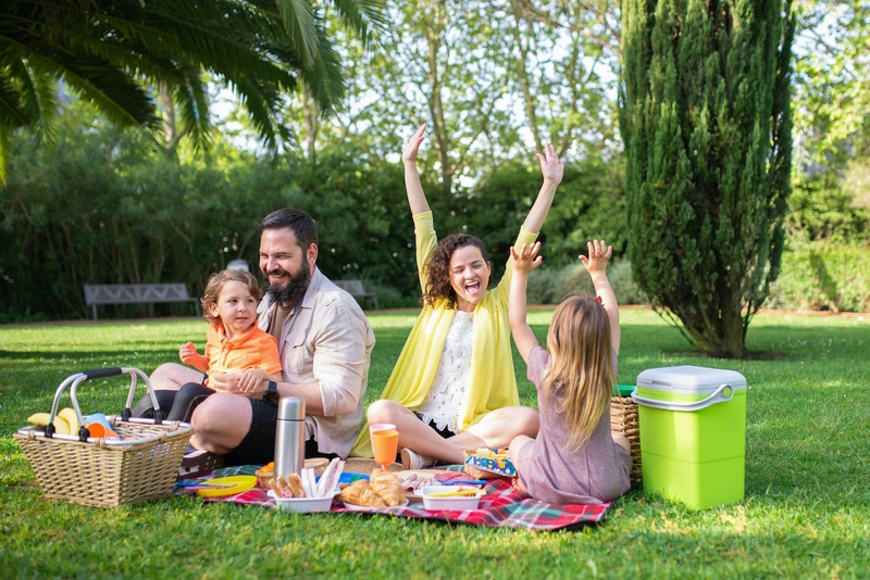 family in picnic