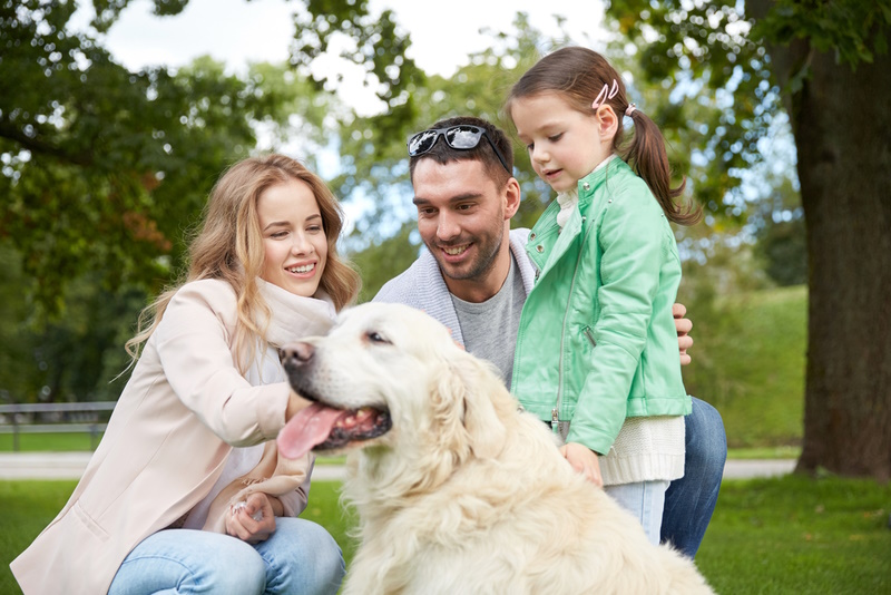 family and pet